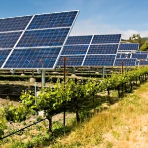 Paneles fotovoltaicos