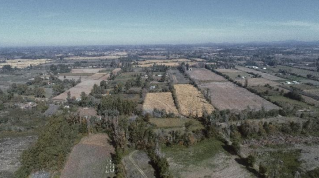 Propiedad de 45 hectareas, linares - Imagen 4