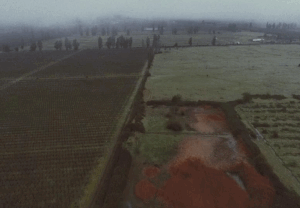 Propiedad de 100 hectareas, Morza