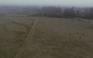 Propiedad de 65 hectareas, Morza