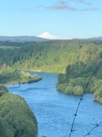 Propiedad de 925 hectareas, Futrono