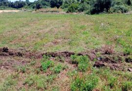 Propiedad de 1.2 hectareas, longavi - Imagen 2