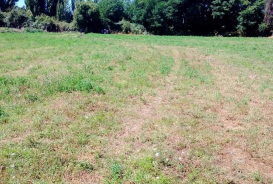 Propiedad de 1.2 hectareas, longavi - Imagen 3