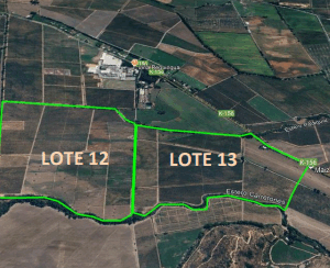 Propiedad de LOTE 12, 57.3HECTAREAS Y LOTE 13 DE 43.9 HECTATREAS, SAGRADA FAMILIA