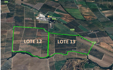 Propiedad de LOTE 12, 57.3HECTAREAS Y LOTE 13 DE 43.9 HECTATREAS, SAGRADA FAMILIA
