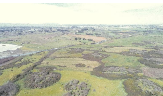 Propiedad de 15 hectareas, Quinta - Imagen 3