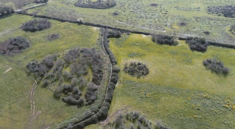 Propiedad de 15 hectareas, Quinta - Imagen 4