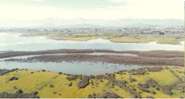 Propiedad de 15 hectareas, Quinta - Imagen 5