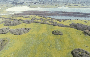 Propiedad de 15 hectareas, Quinta