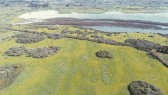 Propiedad de 15 hectareas, Quinta